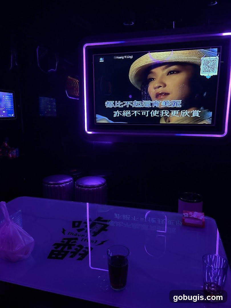 HaveFun Karaoke (Bugis+)