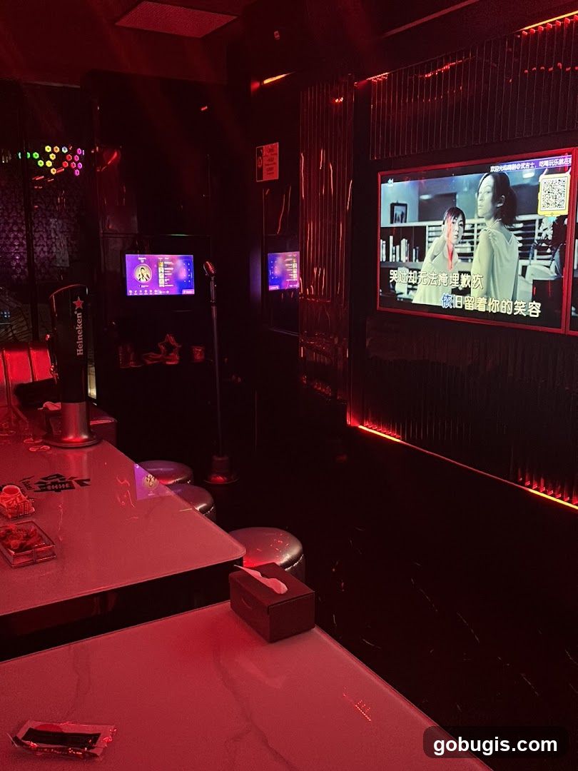 HaveFun Karaoke (Bugis+)