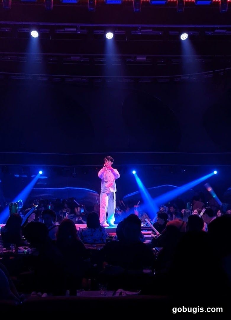 Singer performing on stage with audience