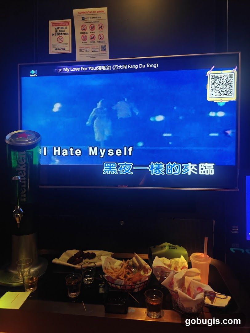 Karaoke Room with Food and Drinks