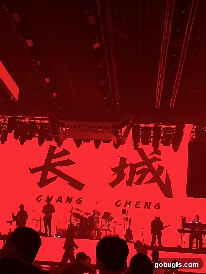 Live Show Stage