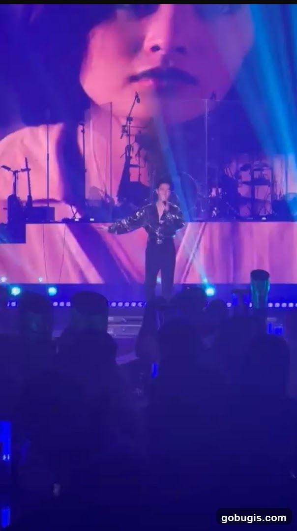Concert Performance