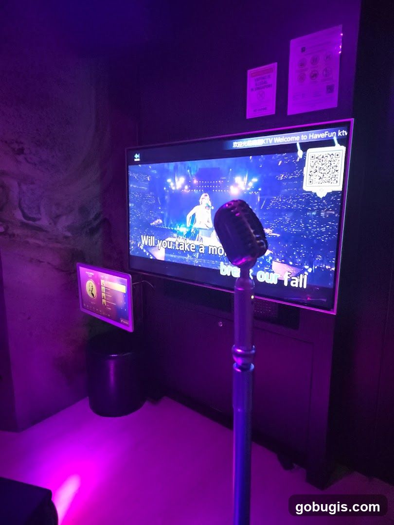 Karaoke Room