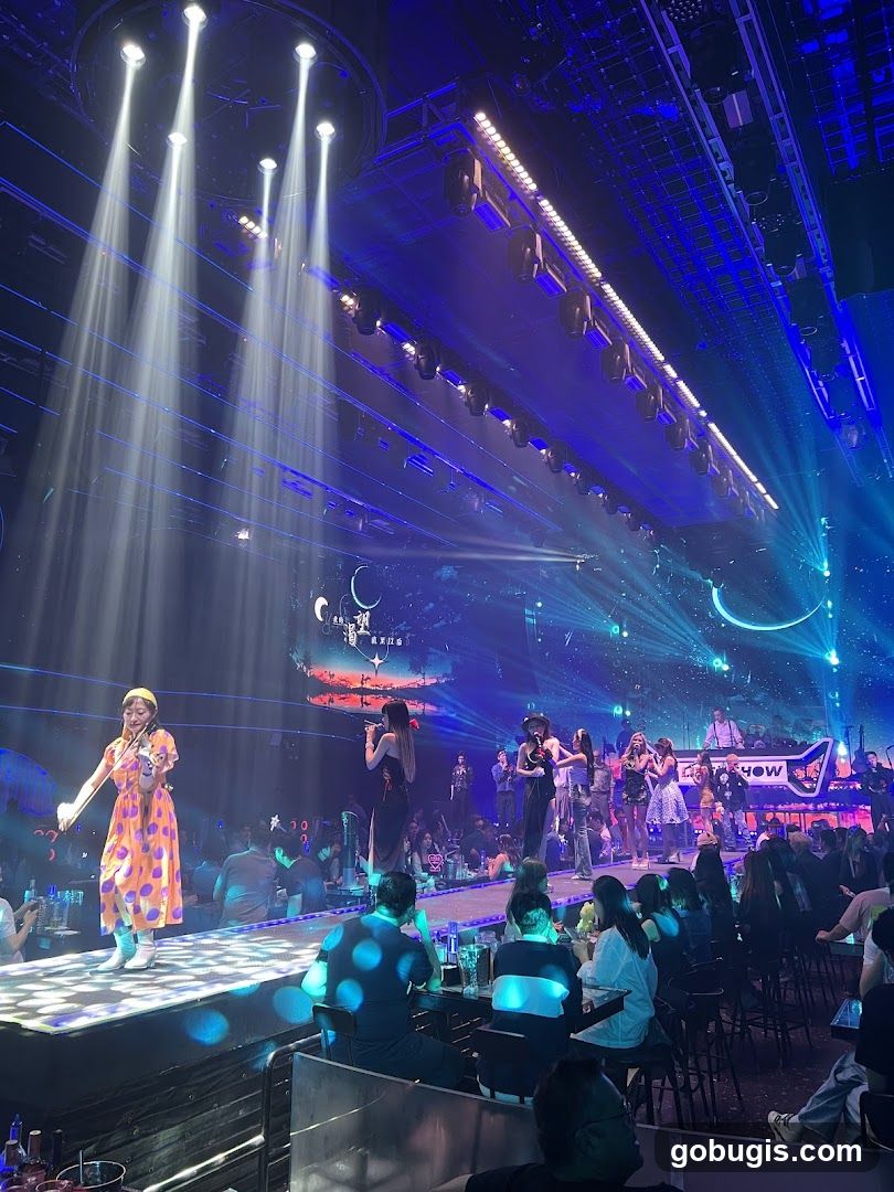 Nightclub Performance