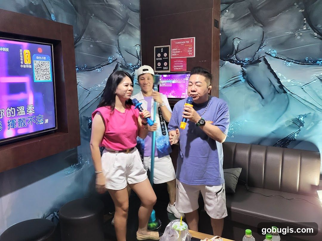 Karaoke Room