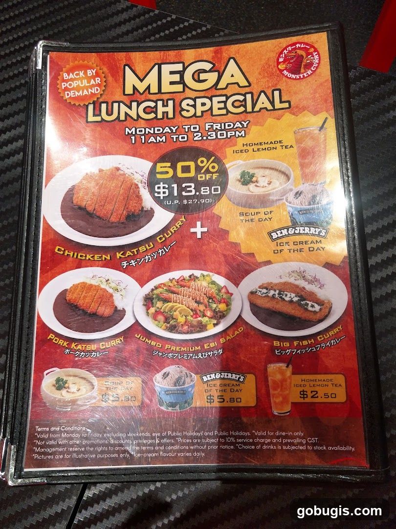 MEGA LUNCH SPECIAL