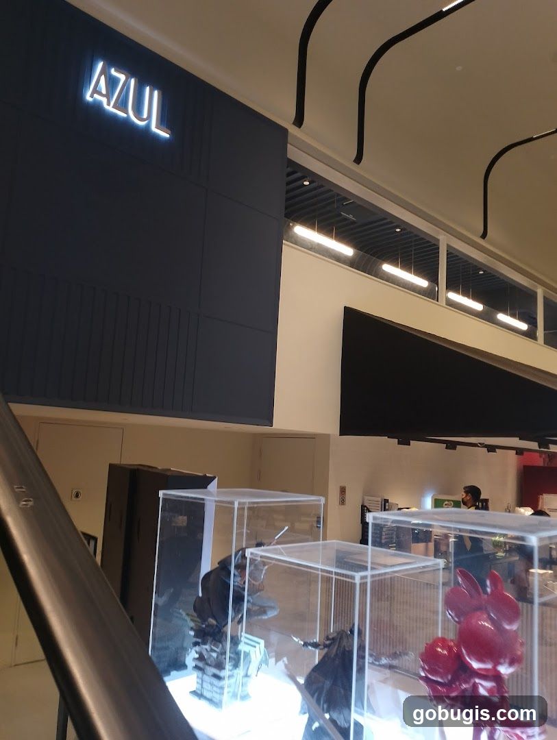 AZUL Store Interior
