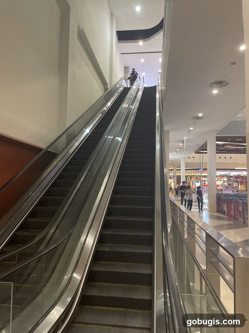 Escalators in a Mall