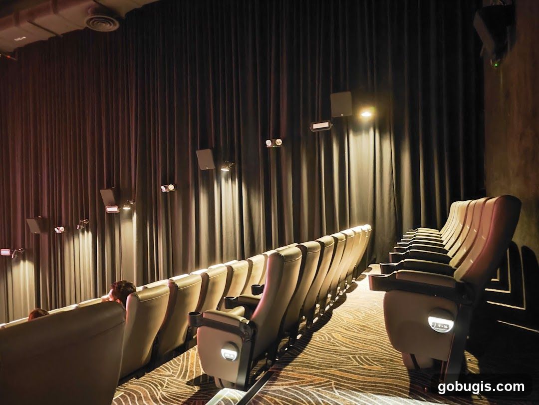 Cinema Seating