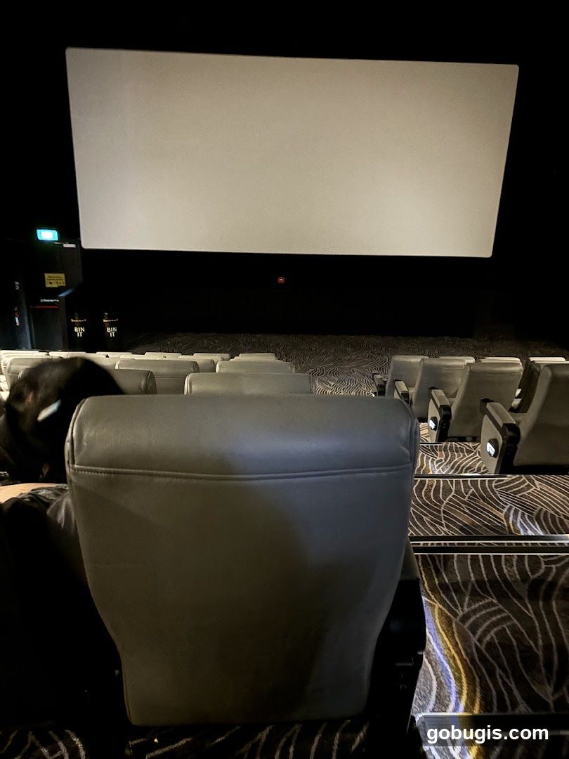 Movie Theater Seating
