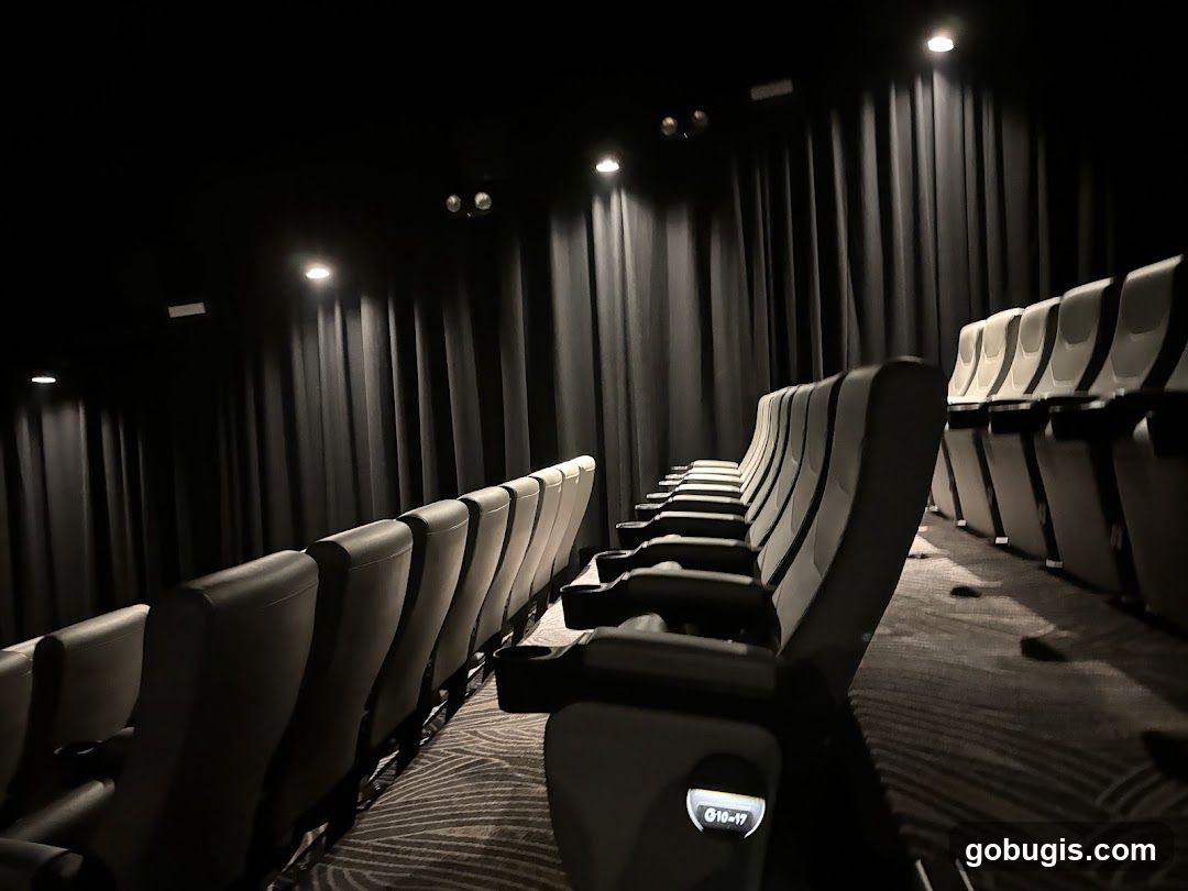 Empty Cinema Seats