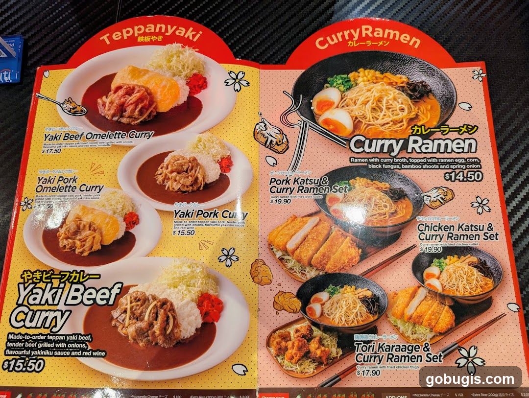 Teppanyaki and Curry Ramen Menu