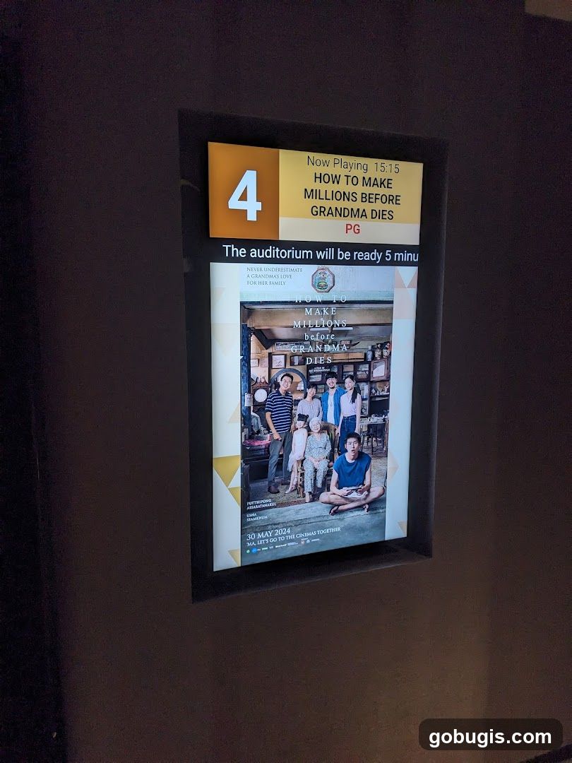 Movie Poster and Information Display