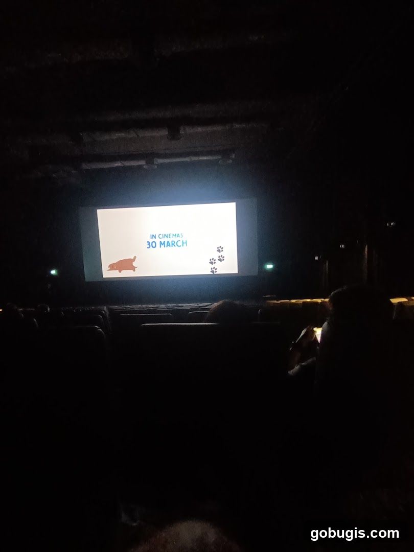 Movie Theater Screen