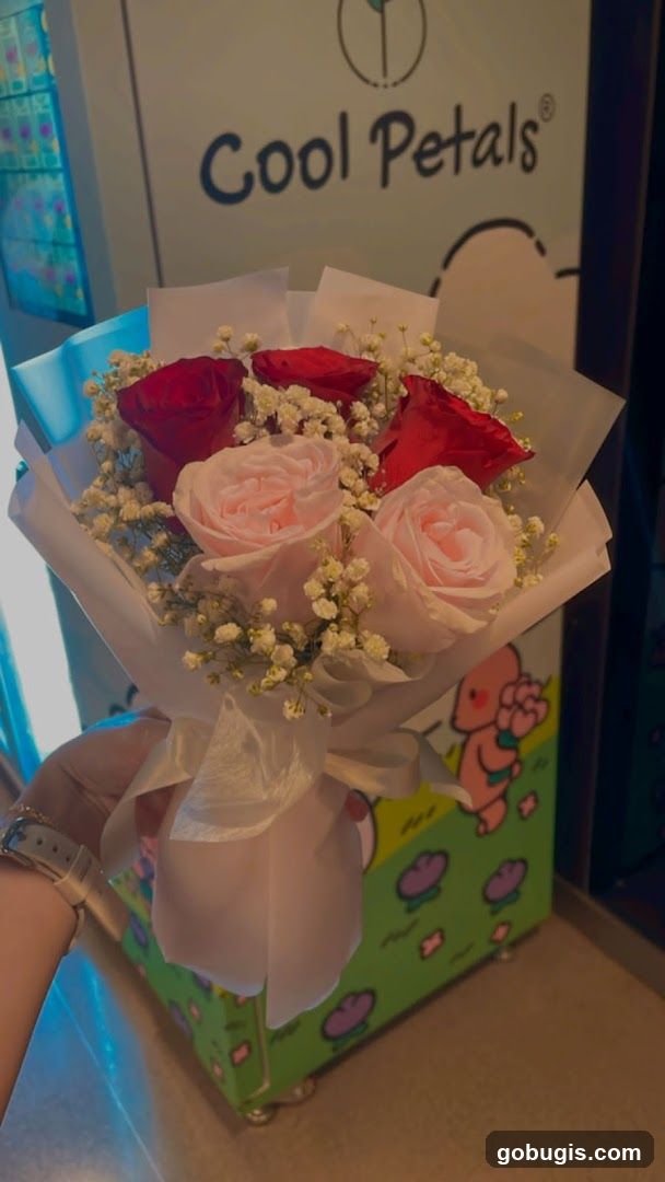 COOL PETALS - BUGIS +
