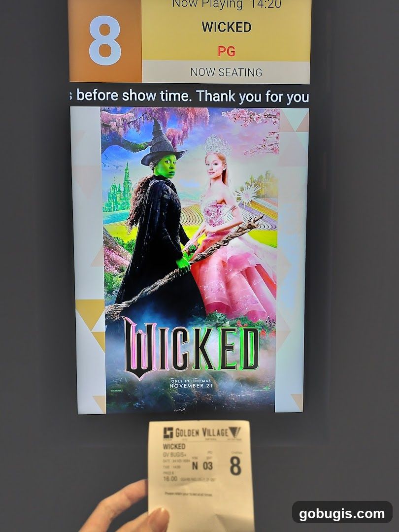 Movie Poster and Ticket