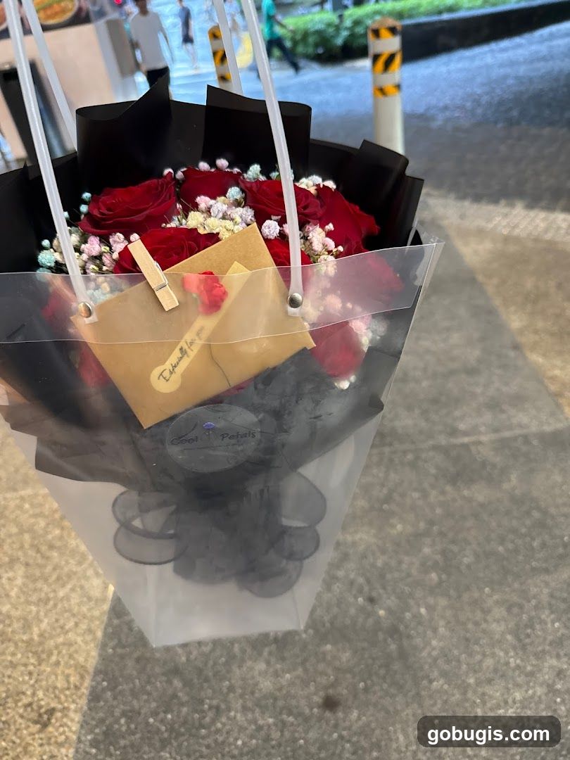 COOL PETALS - BUGIS +