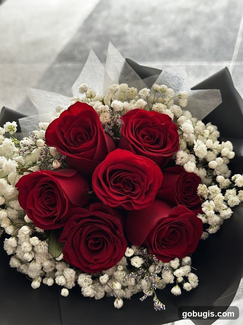 Red Roses and Baby's Breath Bouquet