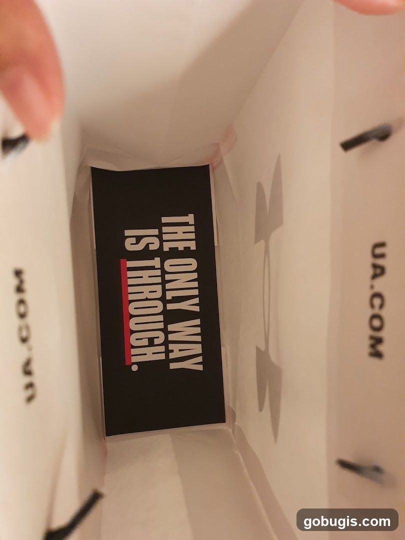 Shopping Bag Interior