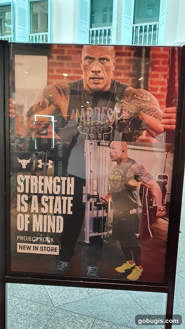 The Rock Project Rock Advertisement