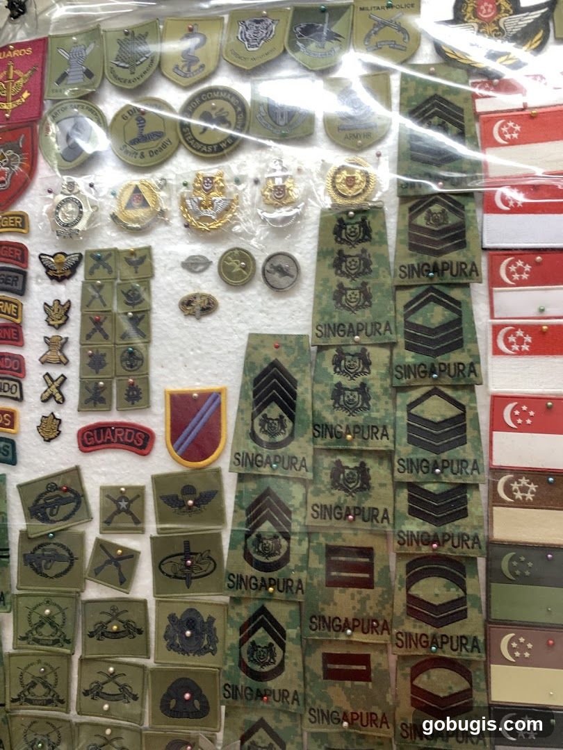 Military Insignia Collection