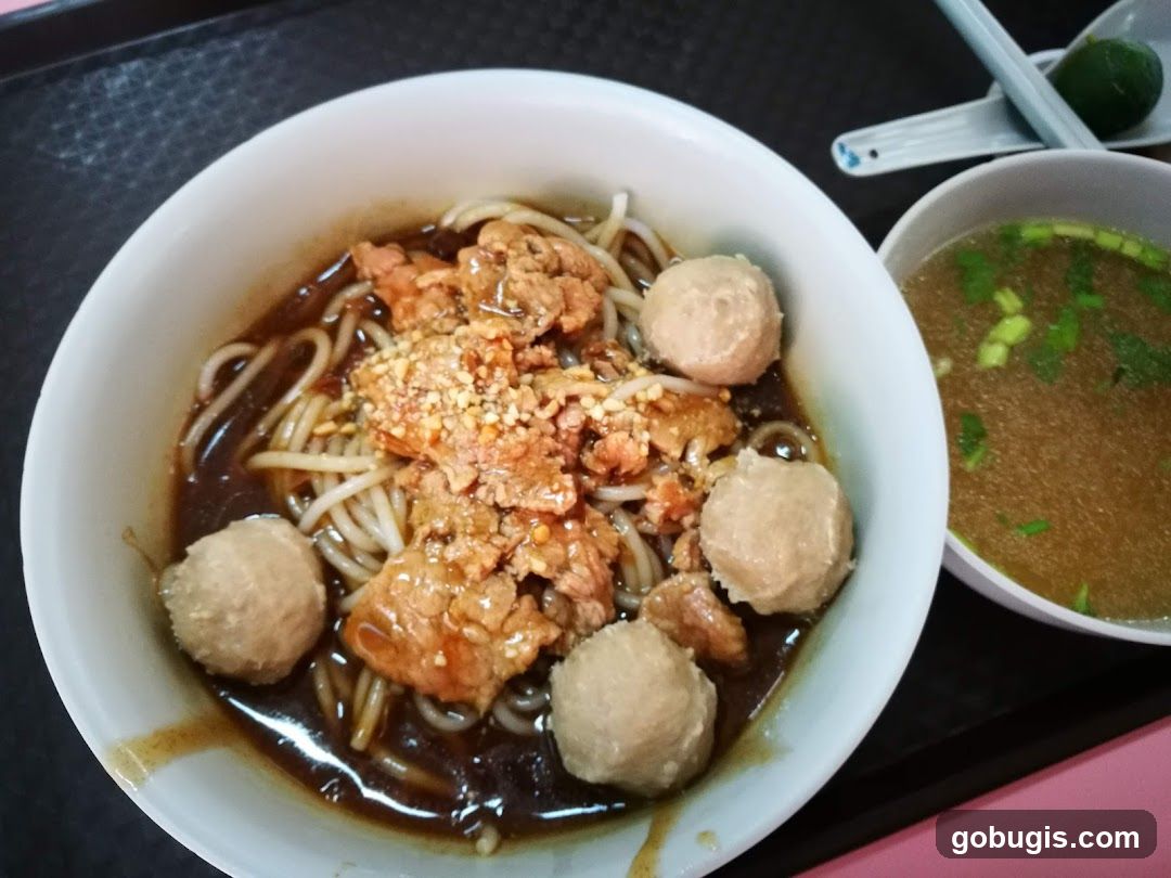 Noodle Soup with Meatballs