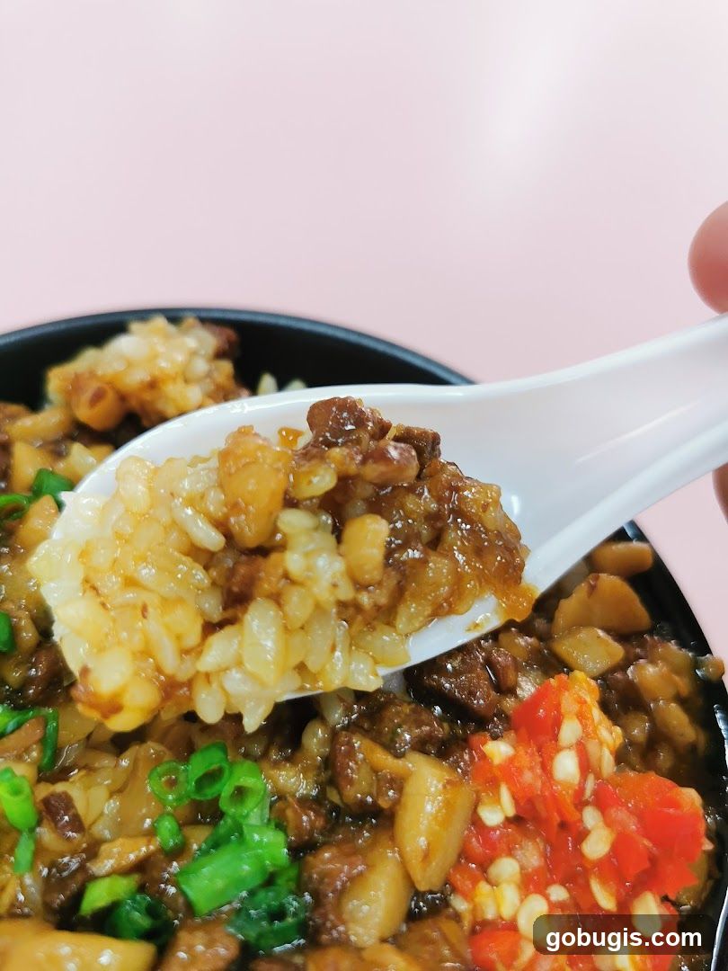 Braised Pork Rice