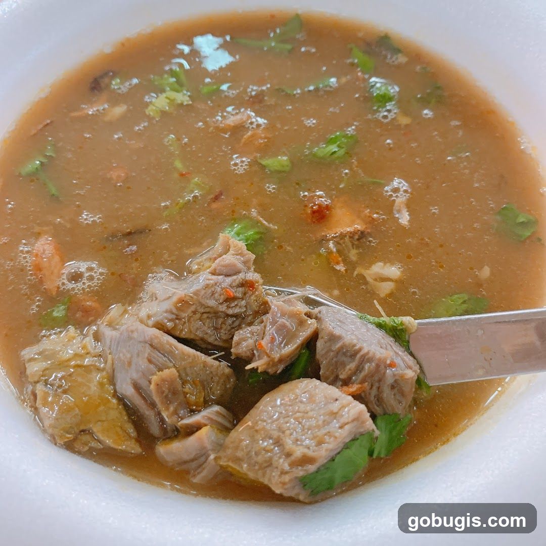 Bowl of Beef Soup