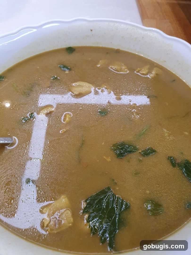 Bowl of Soup