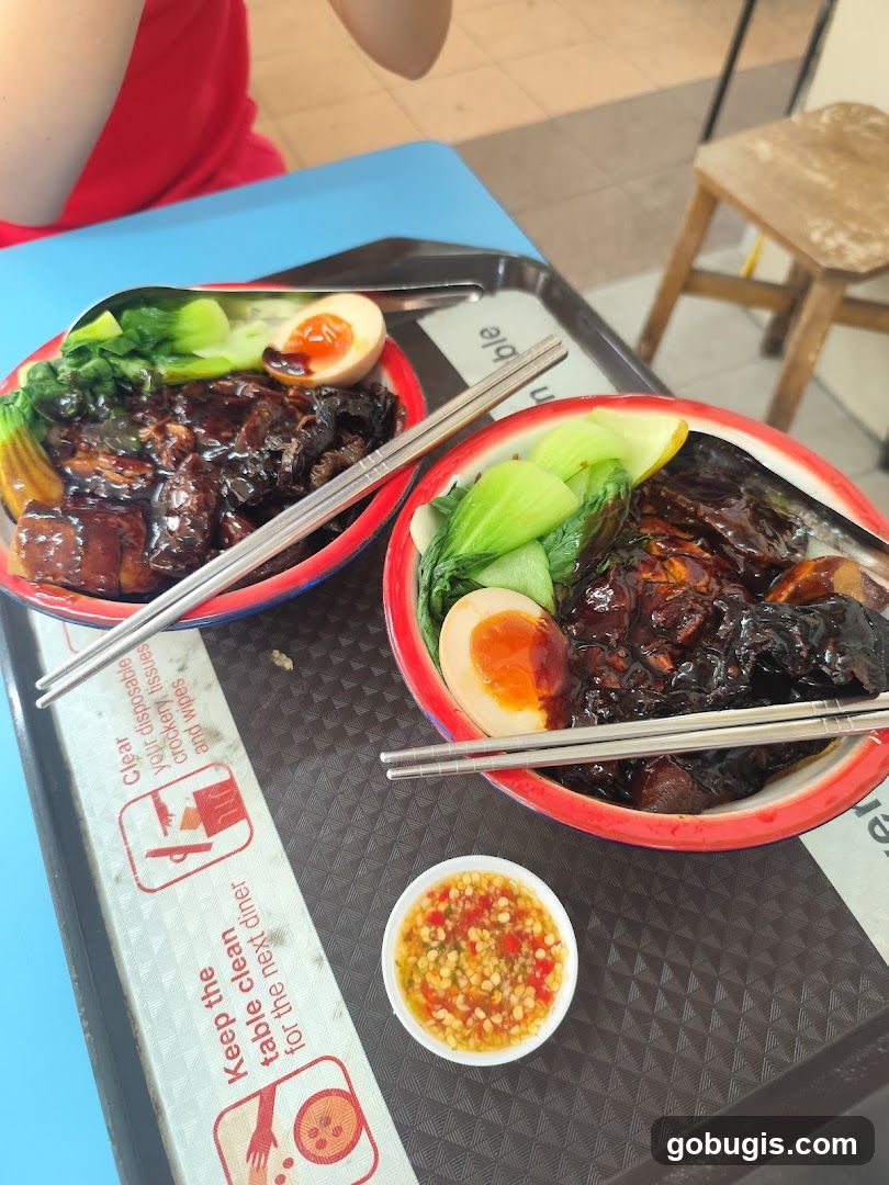 Braised Pork Rice