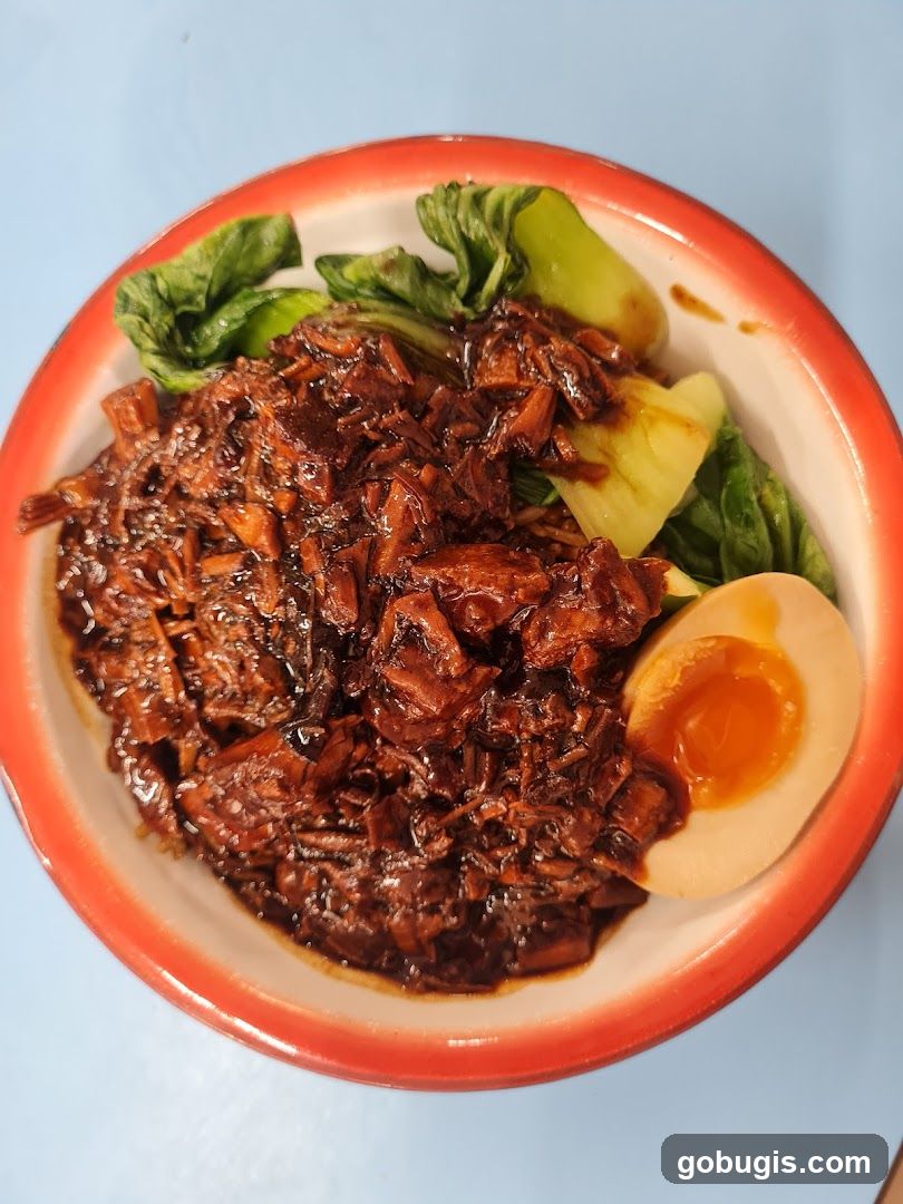 Braised Pork Noodles