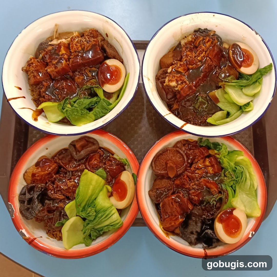Braised Pork Rice Bowls