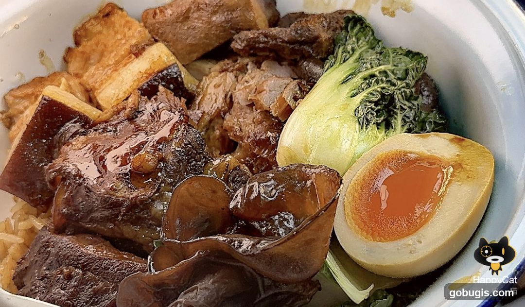 Braised Pork Rice Bowl