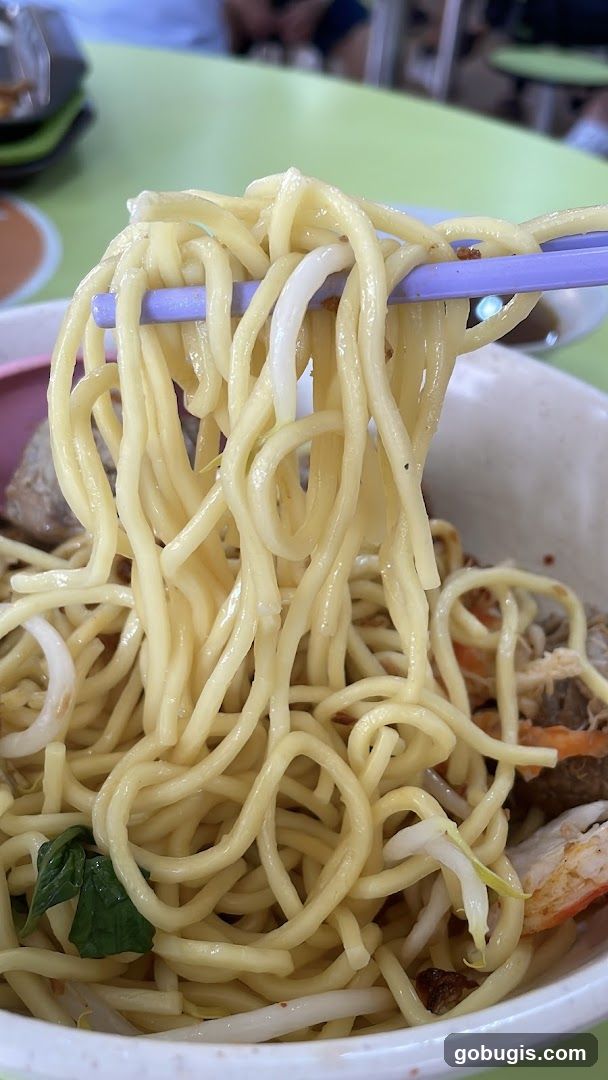 Noodles with Toppings