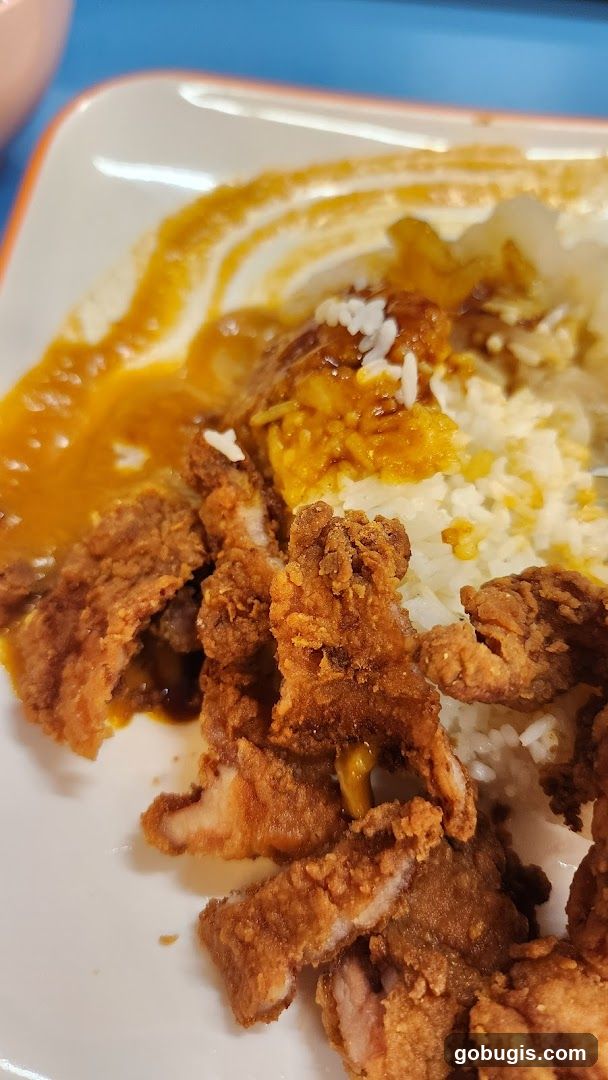 Fried Chicken and Rice