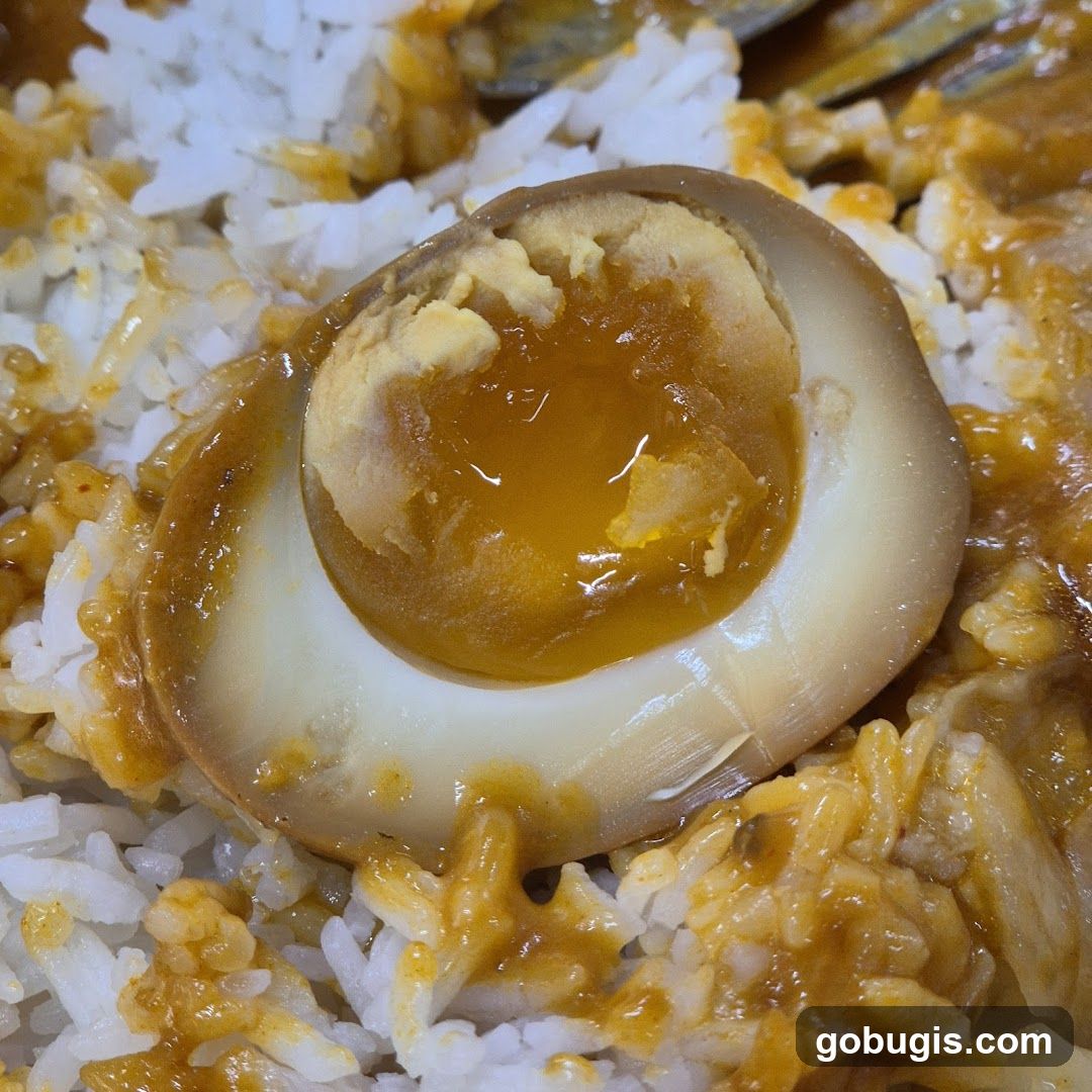 Braised Egg with Rice