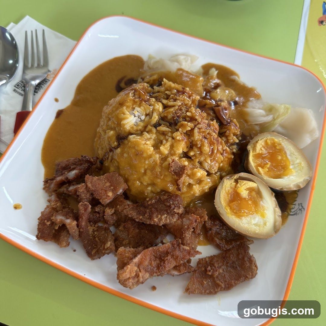 Curry Rice with Fried Pork and Egg