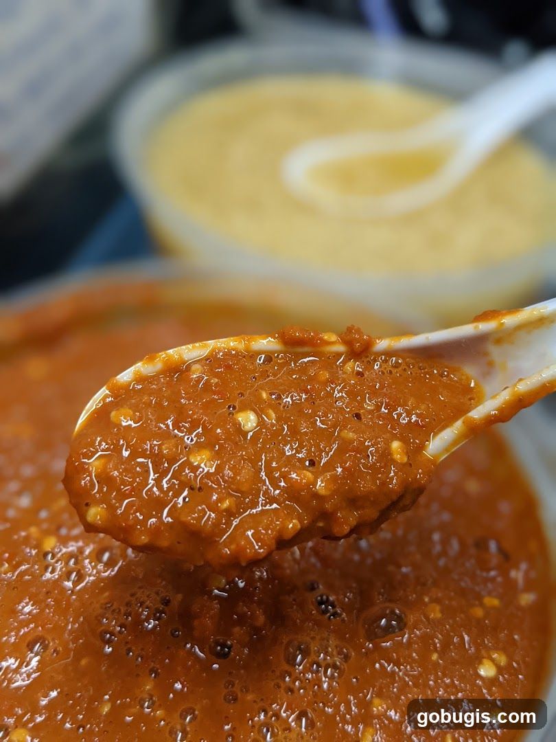 Spoonful of Chili Sauce