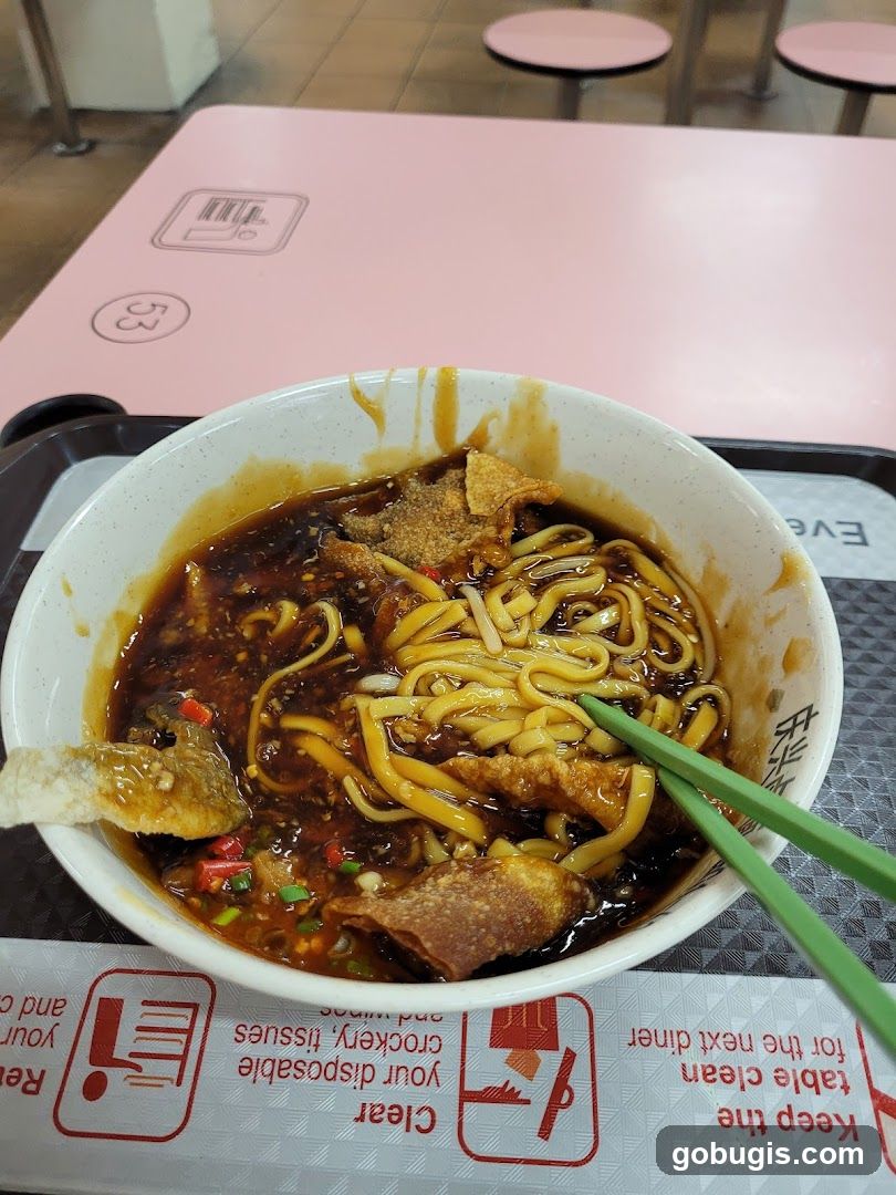 Noodles with Gravy