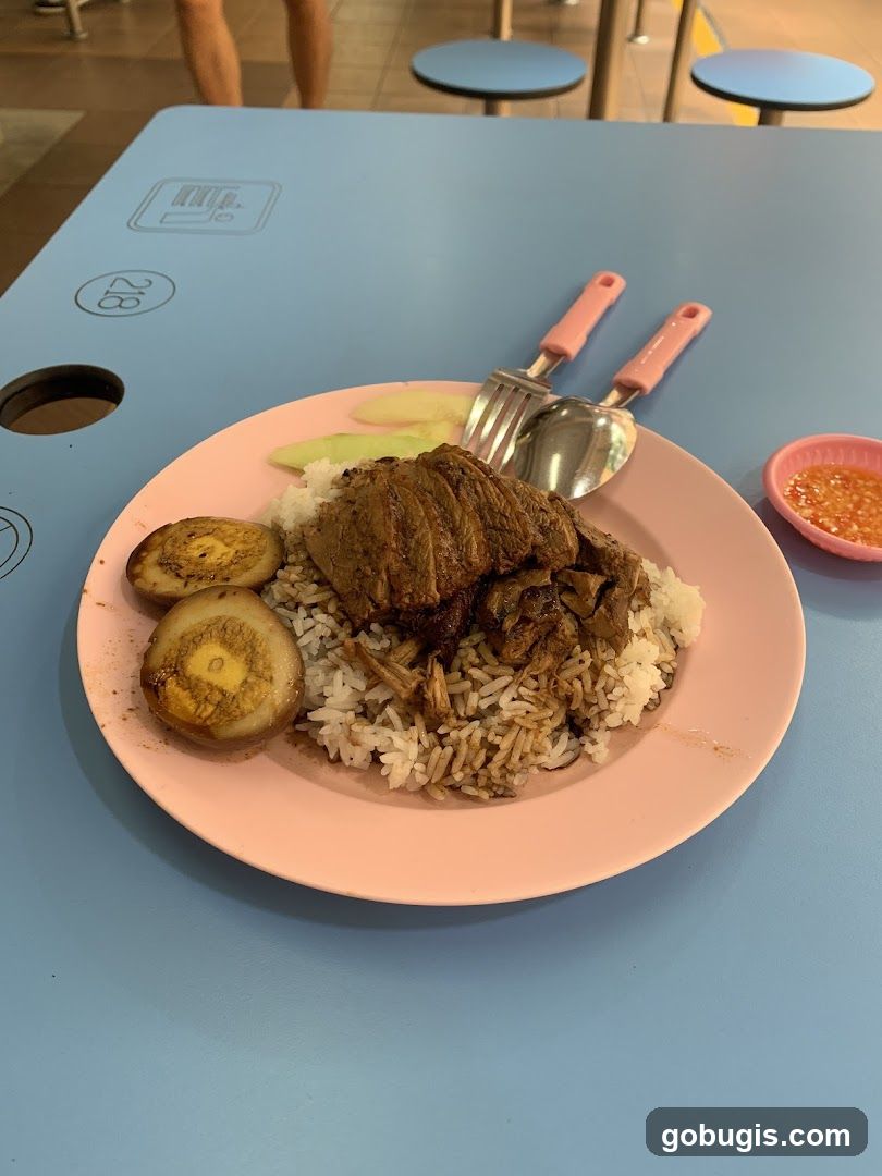 Braised Duck Rice