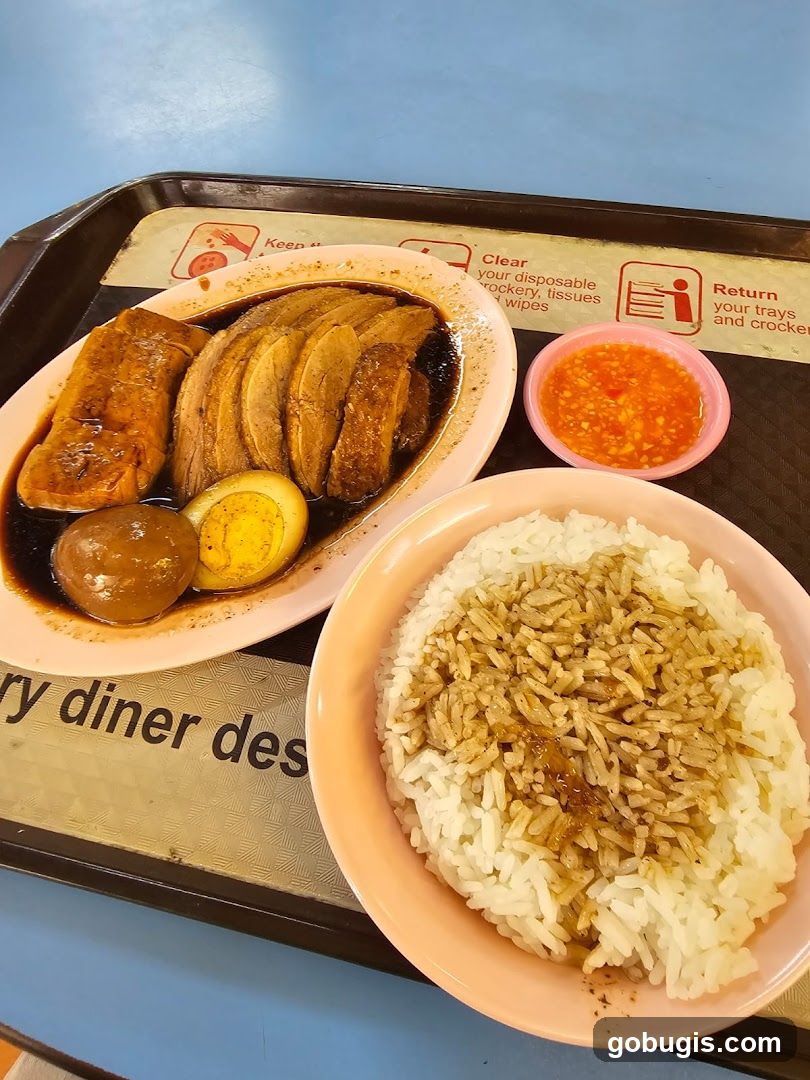 Braised Duck Rice