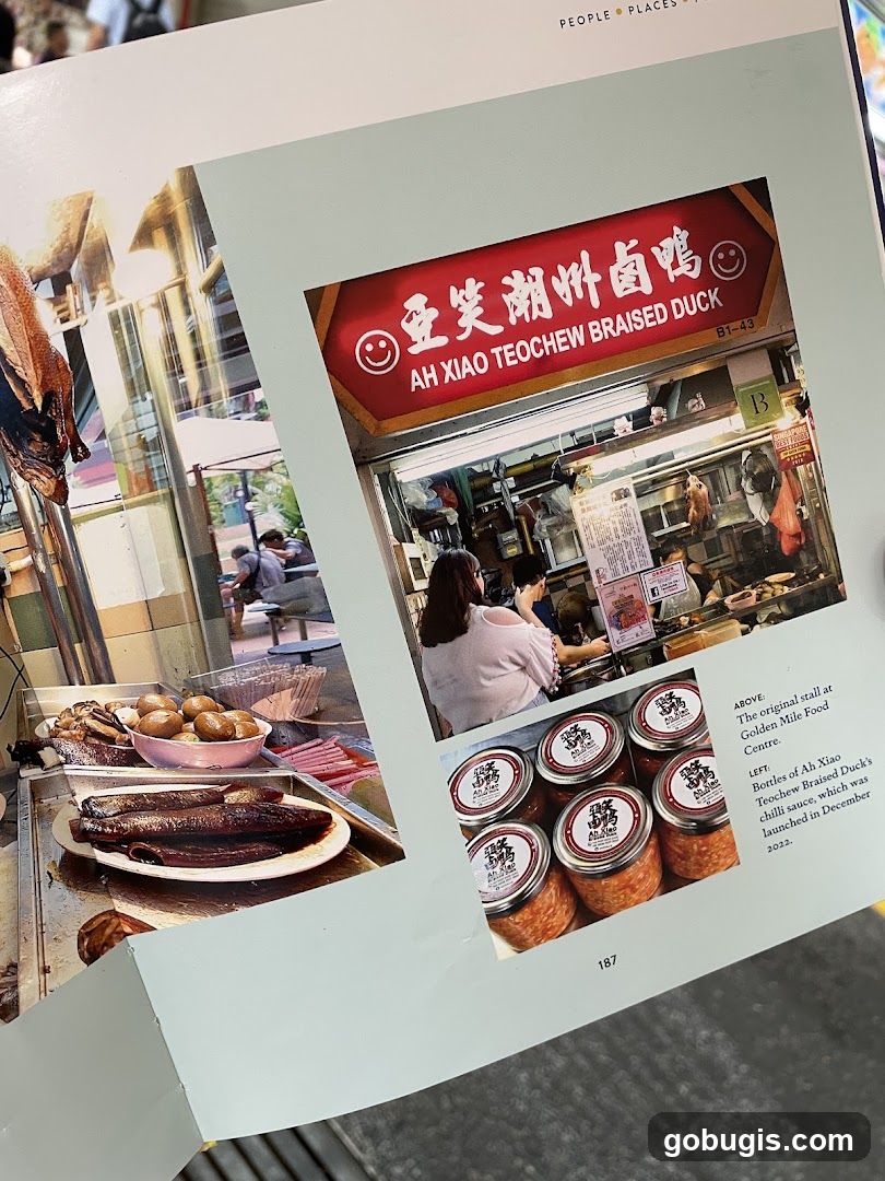 Ah Xiao Teochew Braised Duck Stall
