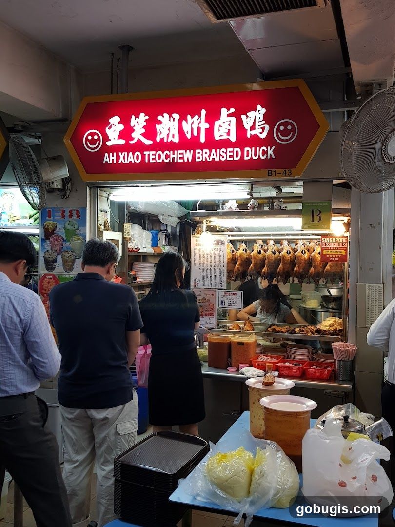 Ah Xiao Teochew Duck Rice (亞笑潮洲卤鸭)