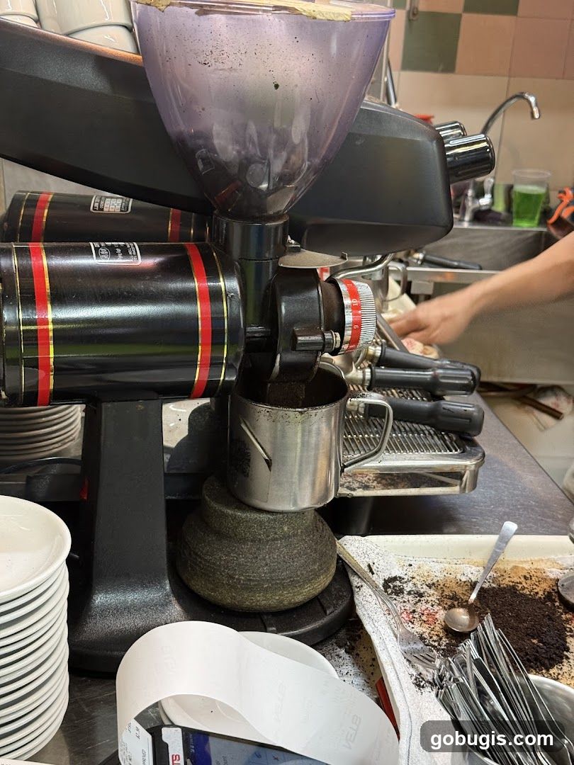 Coffee Grinder and Espresso Machine