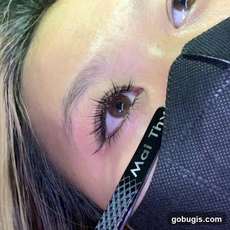 Eyelash Application