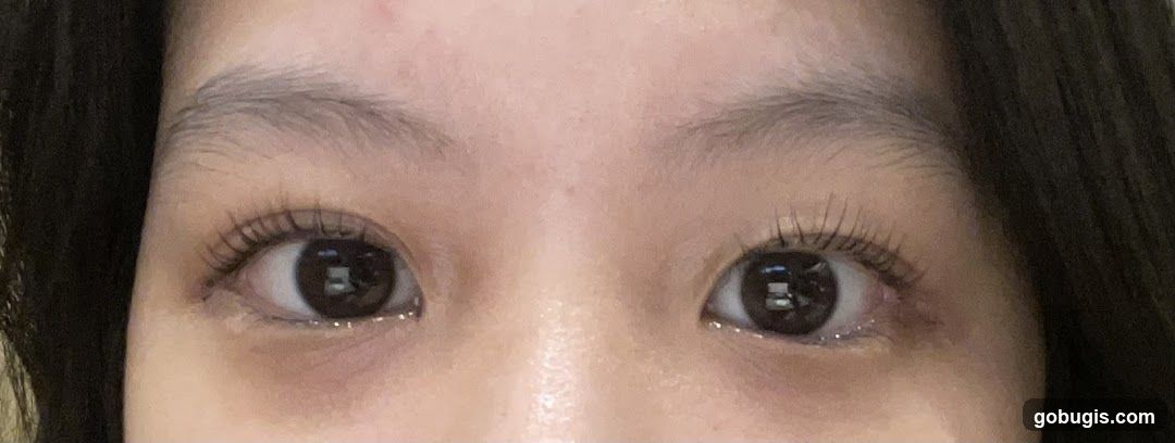 Close-up of Eyes