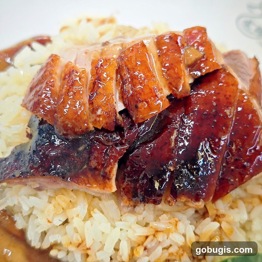 Roast Duck Rice
