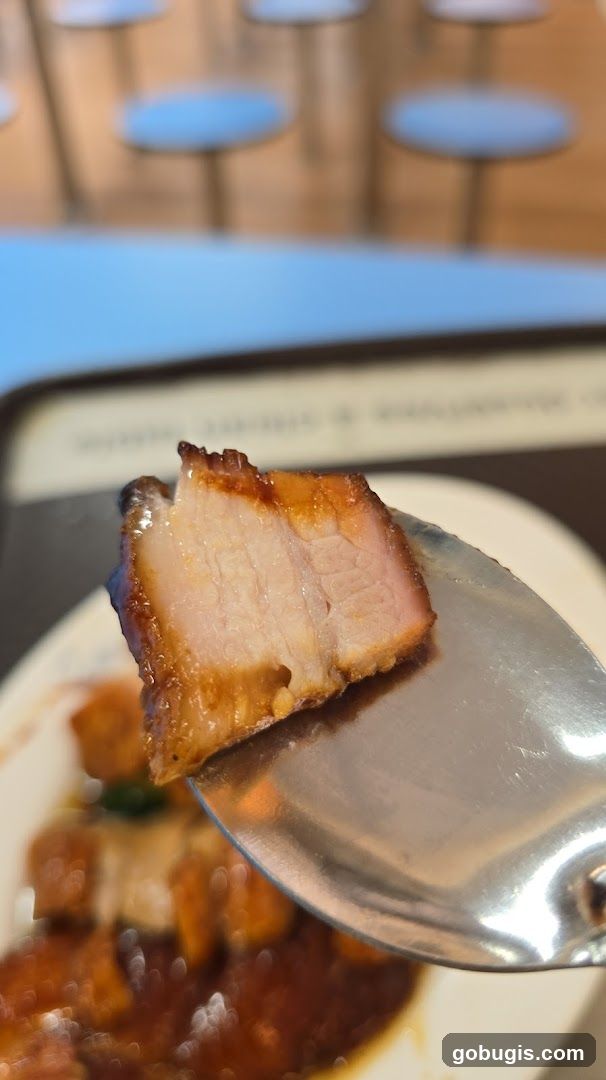 Close-up of Char Siu Pork