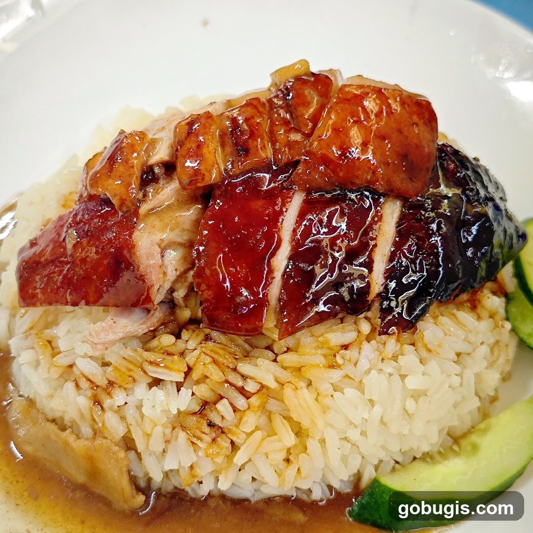 Roast Duck Rice