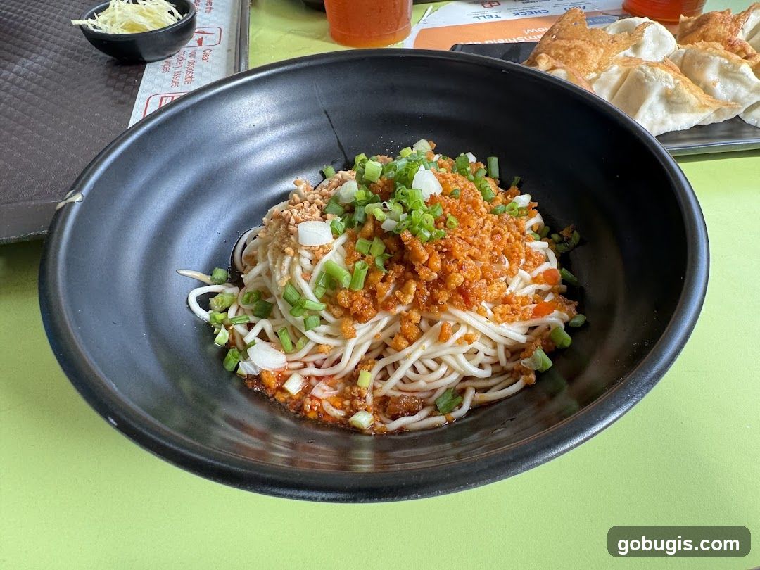 Noodles with Toppings and Dumplings